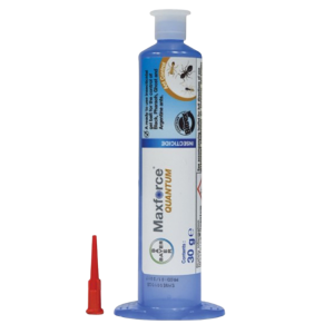 maxforce quantum 30g